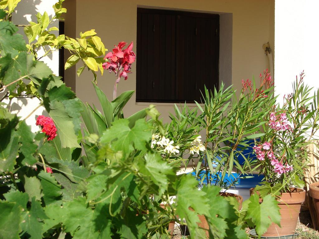 Le Gite Radica Eccica-Suarella  Phòng bức ảnh